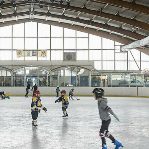 Patinoire des Lacs de Viry-Châtillon : hockey