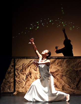 Seeds - Carolyn Carson