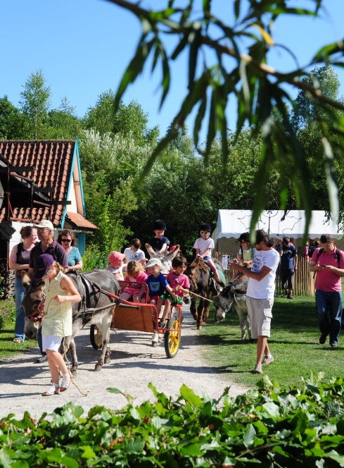 Musée de Plein Air Villeneuve voiture âne
