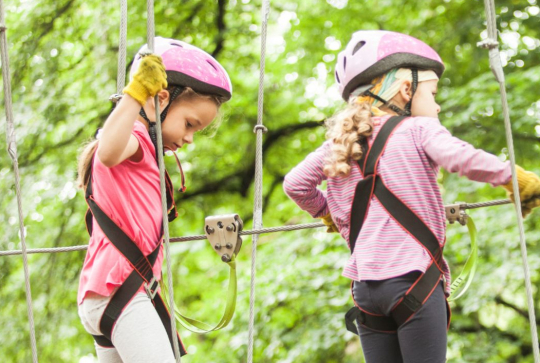 AccroCamp : accrobranche dans les arbres