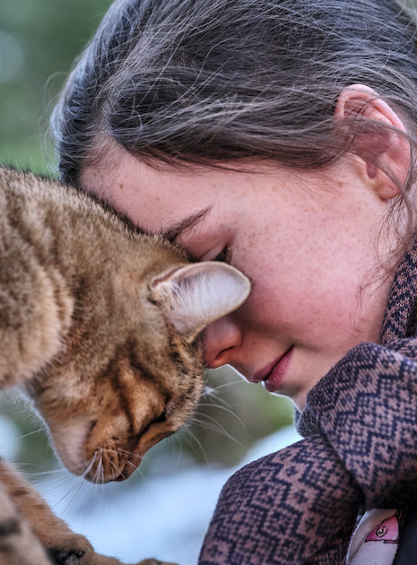 Mon Chat et Moi : câlin du chat