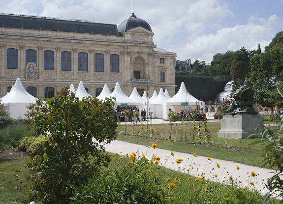 Fête de la Nature Jardin des plantes @P.Lafaite - MNHN