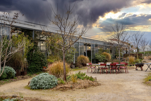 Les jardins du MIP : Serre