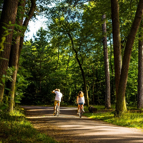 Balade vélo en famille au Bois de Boulogne à Paris