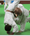 Judo Montpellier