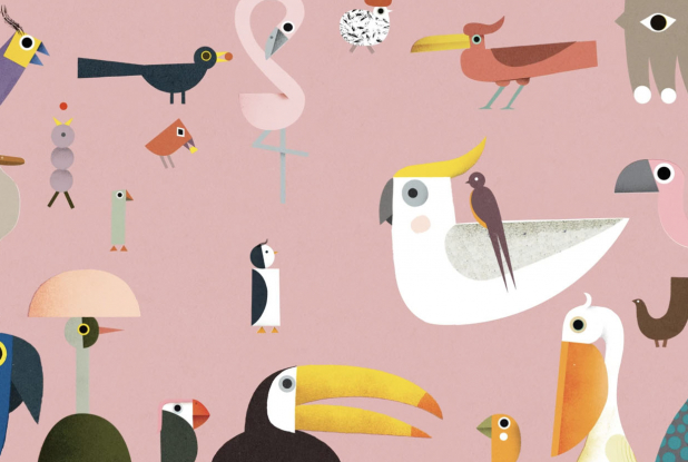 La Cabane aux oiseaux : toute sorte d'oiseaux