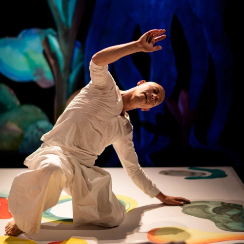 À quoi rêvent les méduses