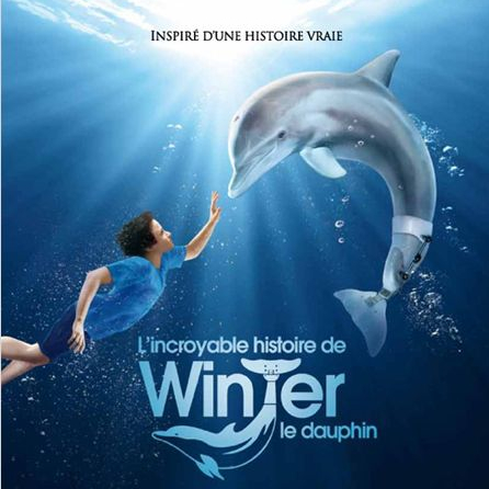 L'Incroyable histoire de Winter le dauphin