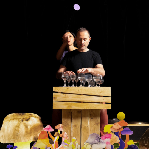 Le Silence des champignons - Ensemble TaCTuS