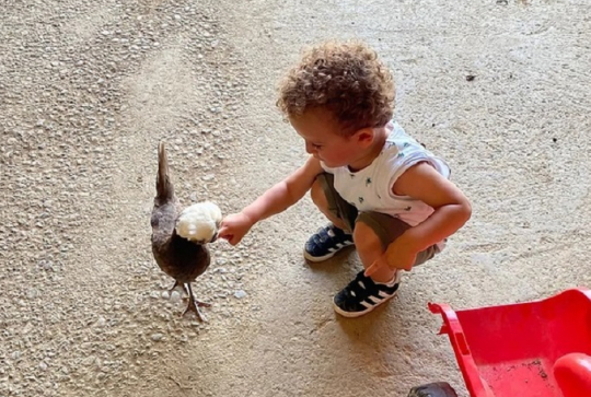 Ferme de la Marinette