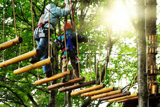 Au fil des arbres accrobranche