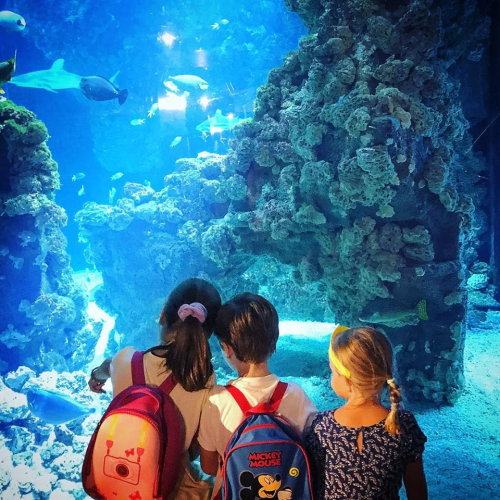 Musée océanographique de Monaco