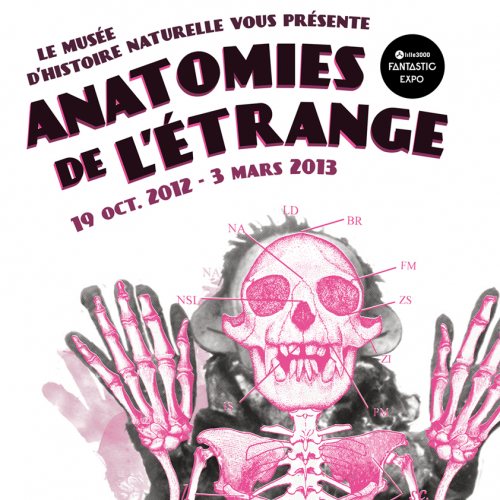 Anatomie de l'étrange