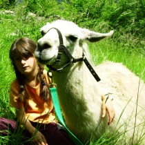 La ferme des lamas