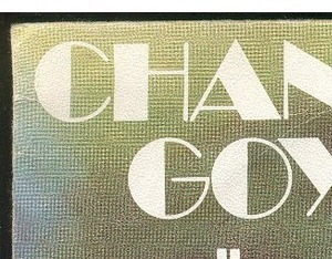 Chantal Goya - foulards