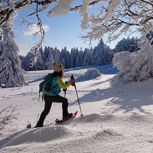 Raquettes dans les Monts de Genève