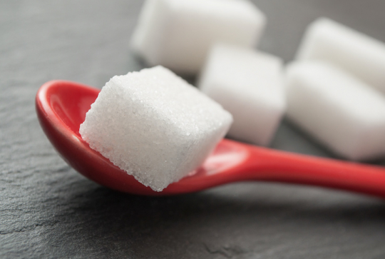 Expériences scientifiques avec de l'eau pour les enfants : activités à la maison - Phénomène d'absorption