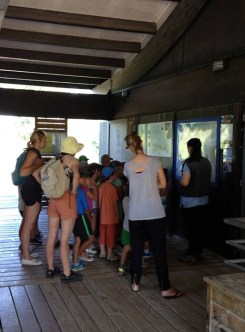 Territoires Sauvages 2019