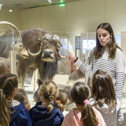 Atelier enfants au Musée d'Aquitaine