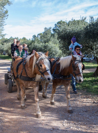 Les Rencontres vigneronnes