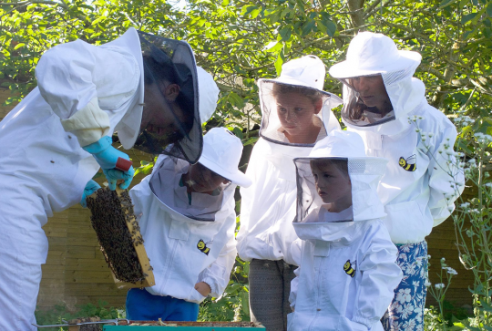 Les Mûres ont des Abeilles : des petits apiculteurs