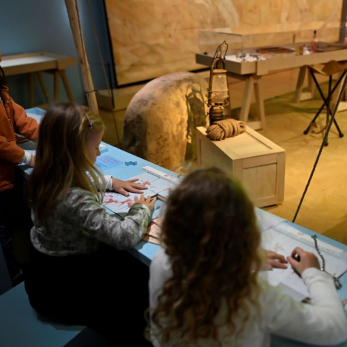 Visite dans l'exposition "Préhistomania" au Musée de l'Homme