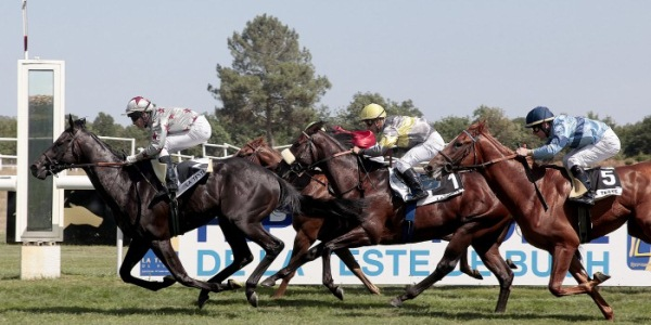 hippodrome_teste_de_buch_1