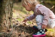 Cueillette de champignons : les bonnes pratiques avec les enfants