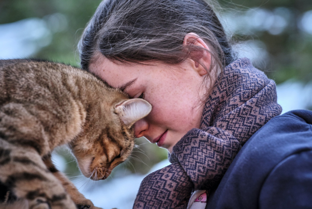 Mon Chat et Moi : câlin du chat