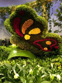 Floralies de Bourg-en-Bresse