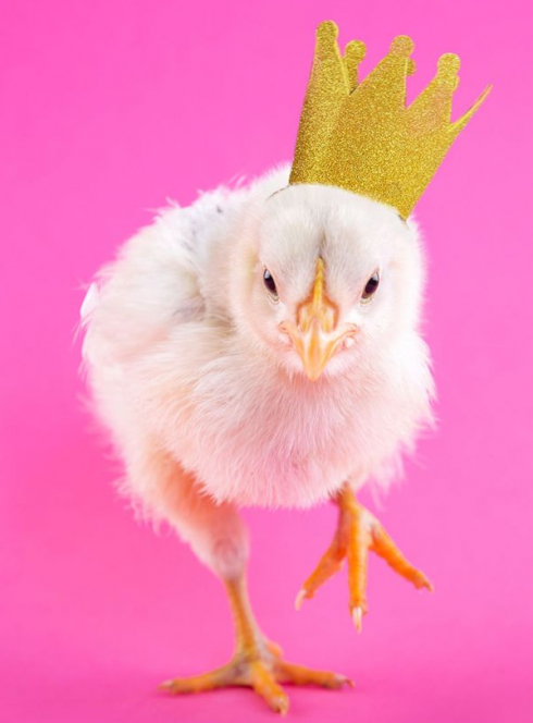 La Fête de l'enfant au Théâtre de la Ville