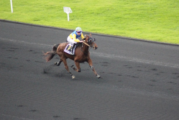 Hippodrome Vincennes