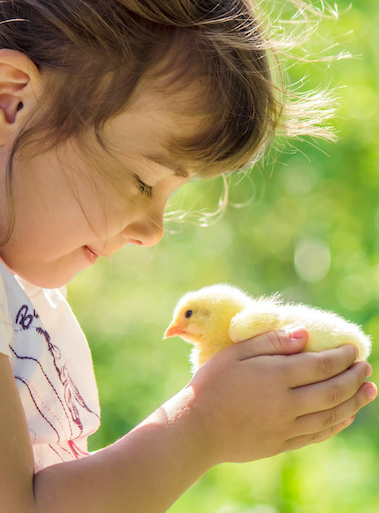 Top des fermes de Lille en famille