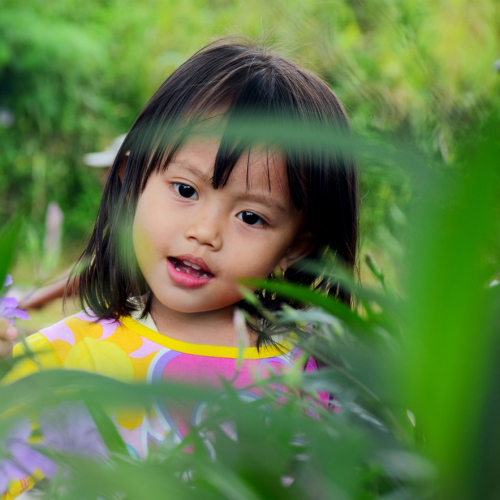 Animez-vous aux jardins