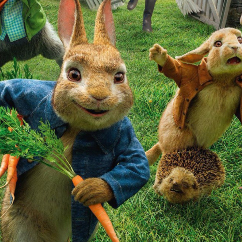 Pierre Lapin - Affiche définitive