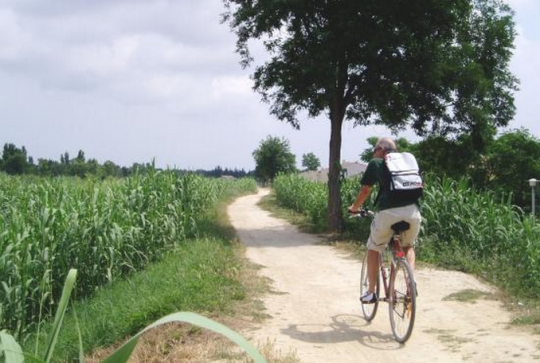 Voie verte de Sommières à Palavas