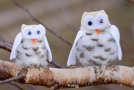 Pommes de pin trop chouettes