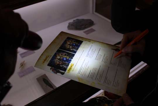 Parcours jeu La Nuit au Musée au Muséum d'Histoire Naturelle de Nantes : 2