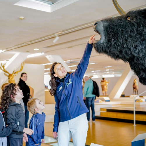 Cosquer Méditerranée