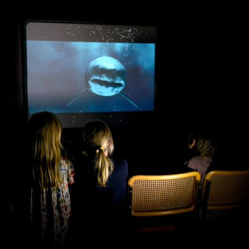 Festival Les grands yeux 2019