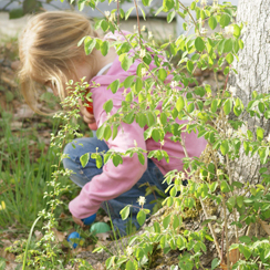 animaparc chasse aux oeufs