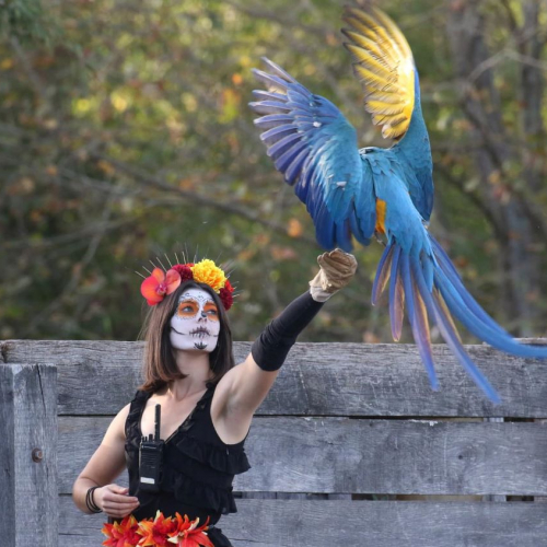 Halloween 2023 au Parc des Oiseaux