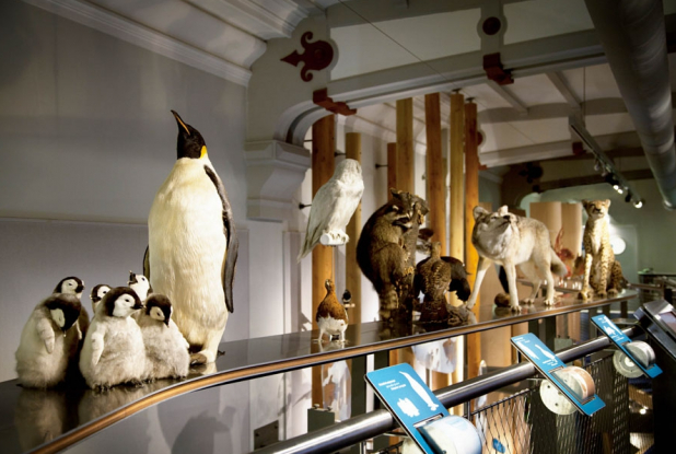 Galerie des Enfants du Muséum national d'histoire naturelle
