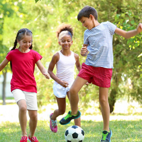 Les Estivales nomades 2019