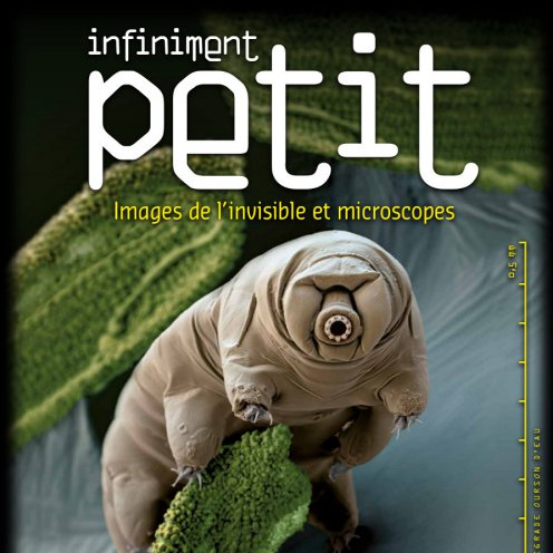 Infiniment Petit