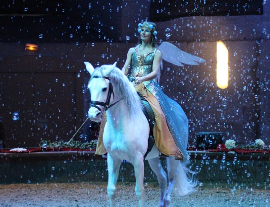 La Reine des songes @CitizenKid