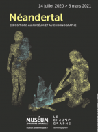 Néandertal, expo au Muséum de Nantes