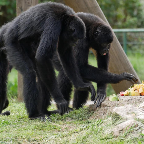 Parc zoologique de Fréjus
