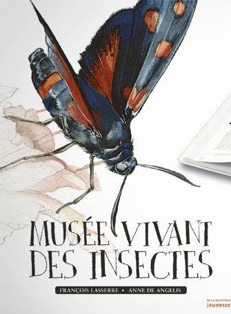 Concours le musée vivant des insectes