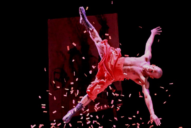 L'atelier du peintre - Cirque Plume